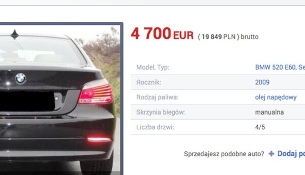 Na tropie internetowych oszustów